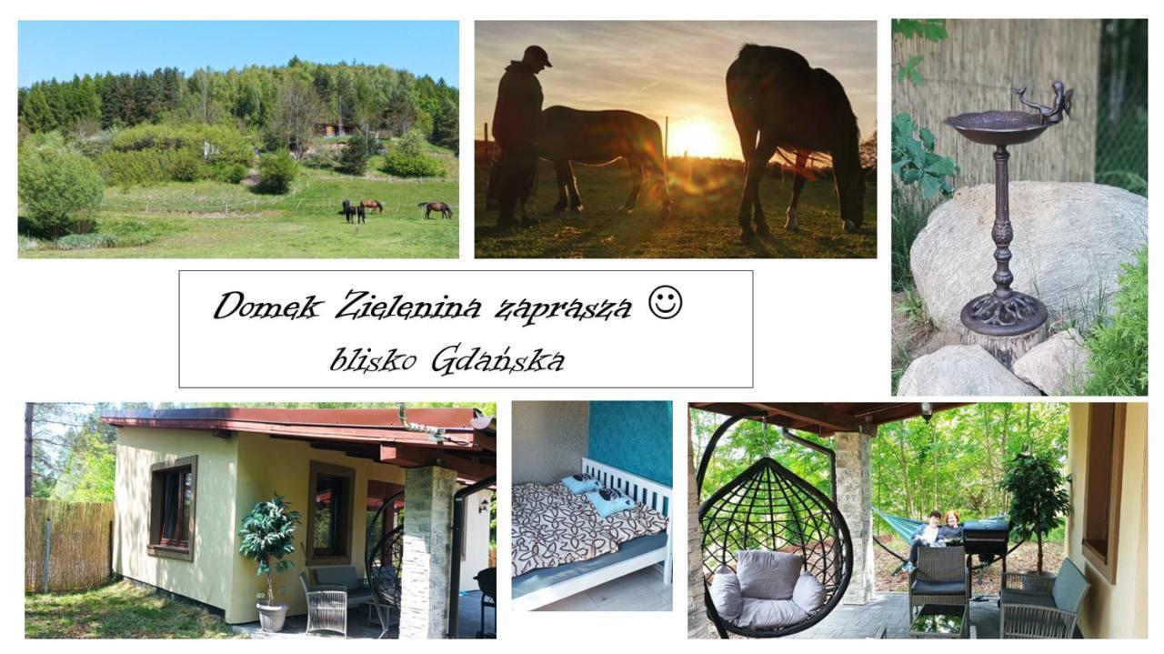 Domek Zielenina Mierzeszyn Екстер'єр фото